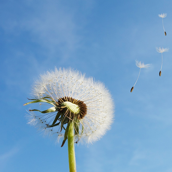 盛煌娱乐(中国游)·官方网站